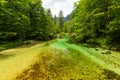 Lake Bohinj and Ukanc village in Triglav national park, Slovenia Royalty Free Stock Photo