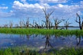 Lake Bonney, SA Riverland