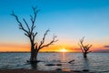 Lake Bonney trees silhouettes at sunset