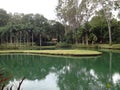 Lake and Botanical Garden at Inhotim Institute, in Brumadinho, MG - Brazil Royalty Free Stock Photo