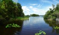 Lake at Boyd Hill in Florida Royalty Free Stock Photo