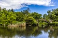 Lake and bridge in Central Park during Summertime, Manhattan, New York City Royalty Free Stock Photo