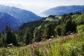 Lake Brienz from Schynige Platte, Switzerland