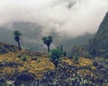 Lake Bujuku, Rwenzori Mountains National Park