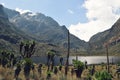 Lake Bujuku, Rwenzori Mountains