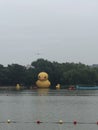 Little yellow duck in Zhao Mausoleum park