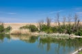 A lake with a calm water, blue sky and reflected vegetation.