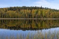 Lake with calm water and reflection of a autumn colored forest, Royalty Free Stock Photo