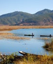 In the lake catches fish