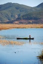 In the lake catches fish