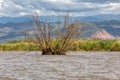 Lake Chamo landscape, Ethiopia Africa