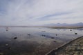 Lake chaxa in the altiplano in chile of atakama desert