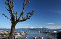 Lake Chiemsee