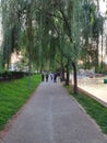 Lake Chios in Central park Cluj-Napoca