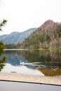 Lake, church, autumn photo, swan, mountains. Royalty Free Stock Photo