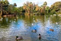 Lake in Ciutadella park in Barcelona, Spain Royalty Free Stock Photo