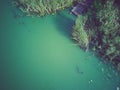 Lake on a clear summer day against the forest, with a pier in the foreground Royalty Free Stock Photo