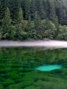 Lake with clear water, forest and fish