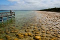 Lake Clifton Thrombolites