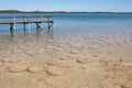 Thrombolites at Lake Clifton in Western Australia`s Peel region, off Old Coast Road, between Mandurah and Bunbury