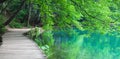 Lake coast in Croatian nature park Plitvice Lakes with tree branches, bench and wooden walkway