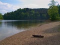 Lake coast with a log