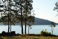 Lake Coeur d`Alene with Ponderosa Pines Royalty Free Stock Photo