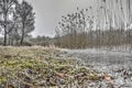 By the lake on a cold day