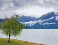 Lake Como (Italy) summer cloudy view Royalty Free Stock Photo