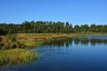 Lake in coniferous forest on the plains