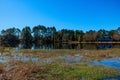 Lake covered in the grass surrounded by trees and a building under the sunlight at daytime Royalty Free Stock Photo