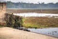 Lake with crocodile at the Tomb Mosque in bagerhat, Bangladesh Royalty Free Stock Photo