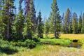 Lake Cuberant hiking trail views of ponds, forest and meadows around Bald Mountain Mount Marsell in Uinta Mountains from Pass Lake Royalty Free Stock Photo