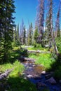 Lake Cuberant hiking trail views of ponds, forest and meadows around Bald Mountain Mount Marsell in Uinta Mountains from Pass Lake Royalty Free Stock Photo