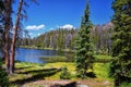 Lake Cuberant hiking trail views of ponds, forest and meadows around Bald Mountain Mount Marsell in Uinta Mountains from Pass Lake Royalty Free Stock Photo