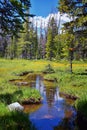 Lake Cuberant hiking trail views of ponds, forest and meadows around Bald Mountain Mount Marsell in Uinta Mountains from Pass Lake Royalty Free Stock Photo