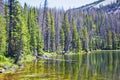 Lake Cuberant hiking trail views of ponds, forest and meadows around Bald Mountain Mount Marsell in Uinta Mountains from Pass Lake Royalty Free Stock Photo