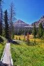 Lake Cuberant hiking trail views of ponds, forest and meadows with Bald Mountain Mount Marsell in Uinta Mountains from Pass Lake T Royalty Free Stock Photo