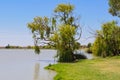 Lake Cullulleraine - Mildura Royalty Free Stock Photo