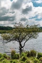 A lake in Dartmoor National Park