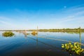 The lake in day light