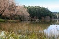 Lake daylesford Royalty Free Stock Photo