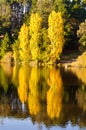 Lake Daylesford Royalty Free Stock Photo