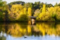 Lake Daylesford Royalty Free Stock Photo