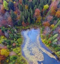Lake Dead Polyanytske in autumn