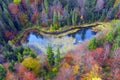 Lake Dead Polyanytske in autumn