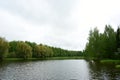 Lake in the depths of the forest. The beauty of the wild. Coniferous and deciduous trees grow in the forest. Cloudy