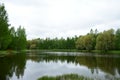 Lake in the depths of the forest. The beauty of the wild. Coniferous and deciduous trees grow in the forest. Cloudy