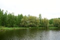 Lake in the depths of the forest. The beauty of the wild. Coniferous and deciduous trees grow in the forest. Cloudy