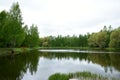 Lake in the depths of the forest. The beauty of the wild. Coniferous and deciduous trees grow in the forest. Cloudy